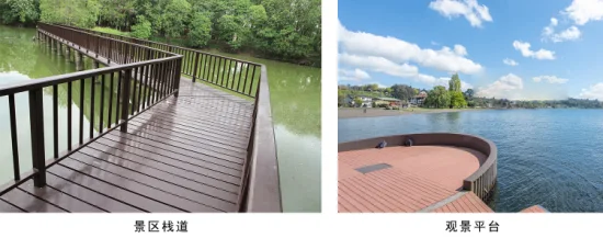 Sales Promotion Co-Extrusion Outdoor Fiber Cement Composite Decking Engineered Flooring